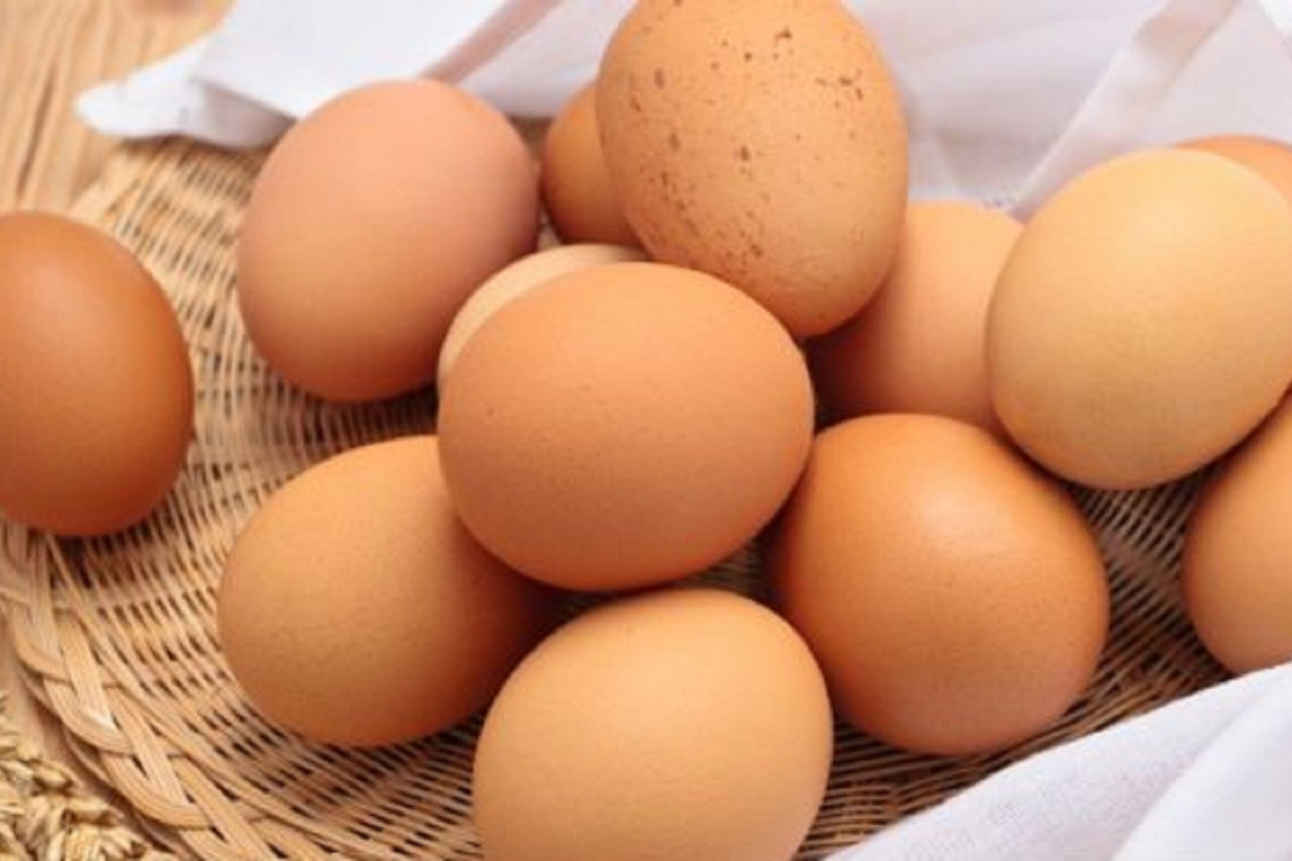Huevos ecológicos (envase 6 unidades)
