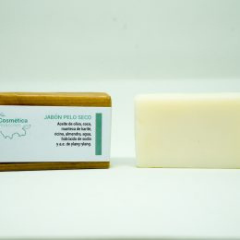 Champú sólido cabello seco