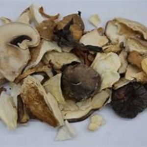 Boletus deshidratado eco